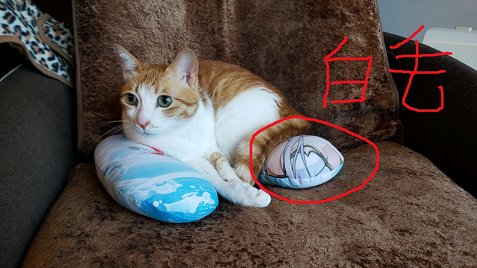 2e1d6ce5-67af-4629-afbe-e3e2c554849f-1